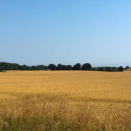 Restored Barn Between Schlei And Baltic Sea * Rabenkirchen-Faulück